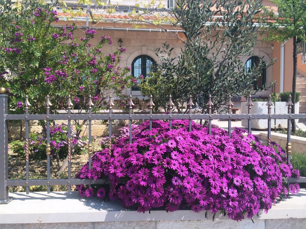 Villa Marija Podgora Buitenkant foto