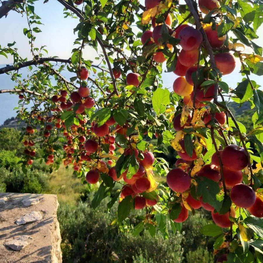 Villa Marija Podgora Buitenkant foto